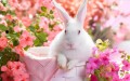 ピンクの花の春のウサギ 写真からアートへの絵画